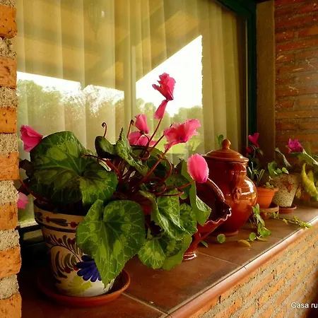 El Roblon Sartajada