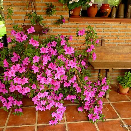 Guest house El Roblon *
